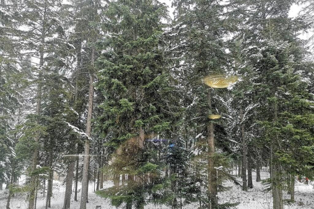 Studio 1 Iceberg Borovets Ngoại thất bức ảnh